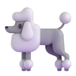 Poodle